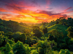 Bright colorful tropical sunset setting over rich hills
